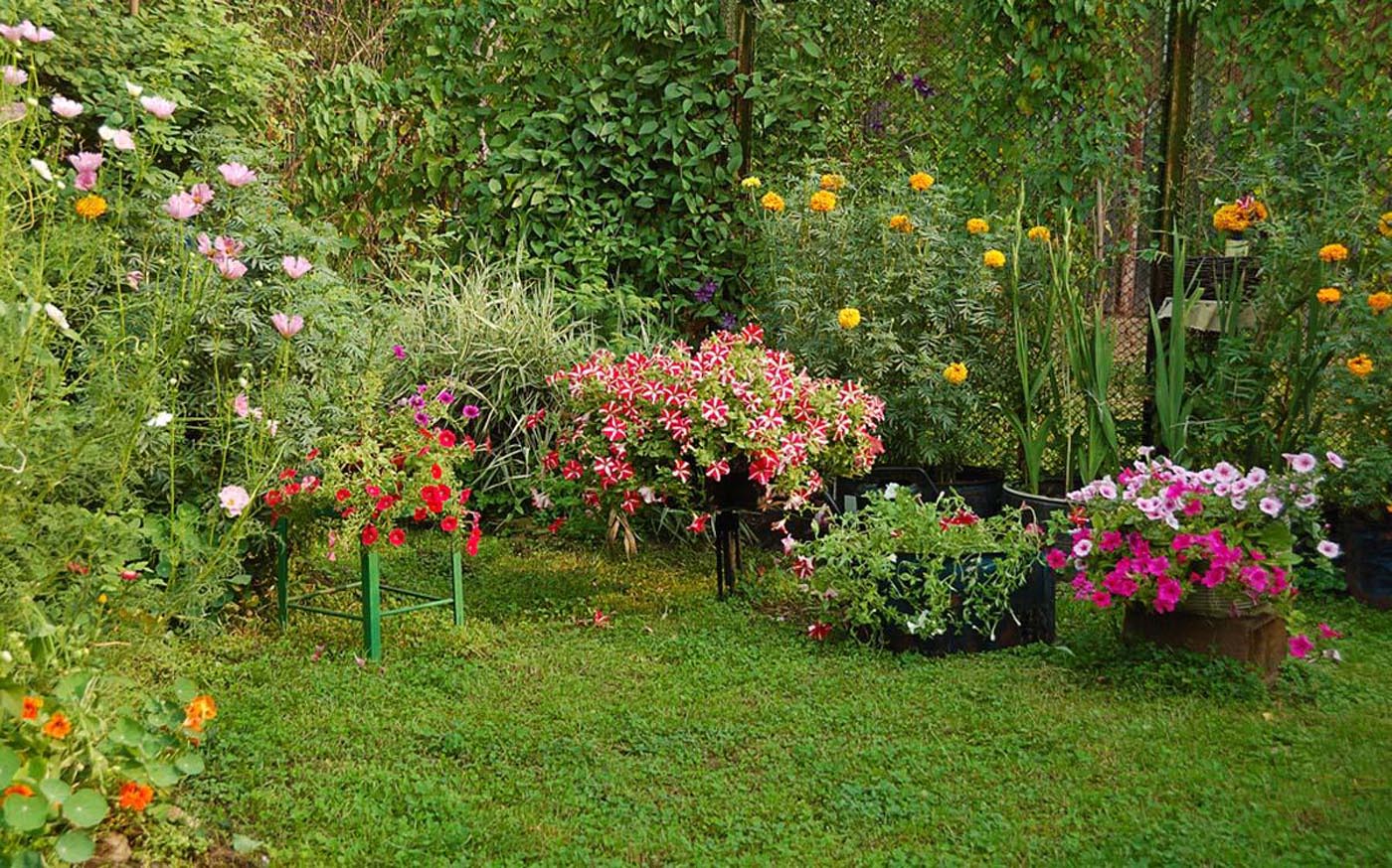 Stéphanie Jardinage Paysagiste - Aménagements espaces verts